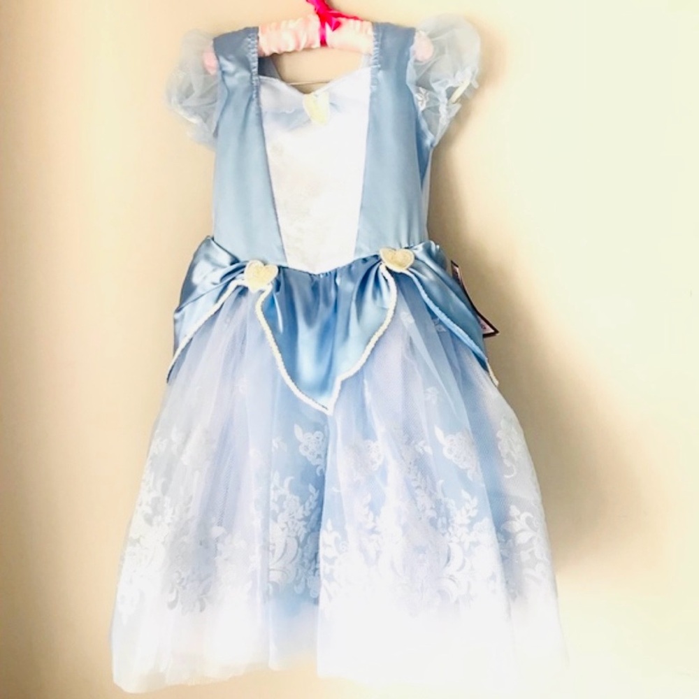 Blue Princess Tulle Dress Costume for Girls